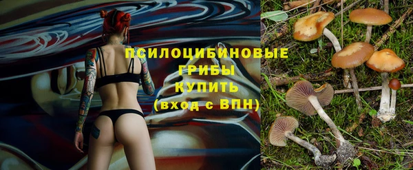 PSILOCYBIN Баксан