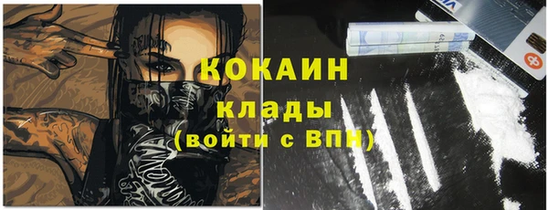 PSILOCYBIN Баксан